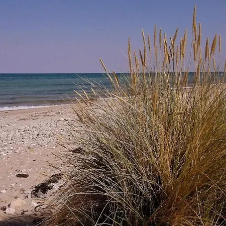 Dom wakacyjny Seaside Serenity In Lumsays-by Traum *