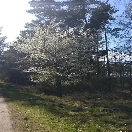 Seaside Serenity In Lumsays-by Traum *